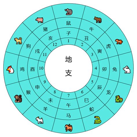 天干查詢|天干地支換算器